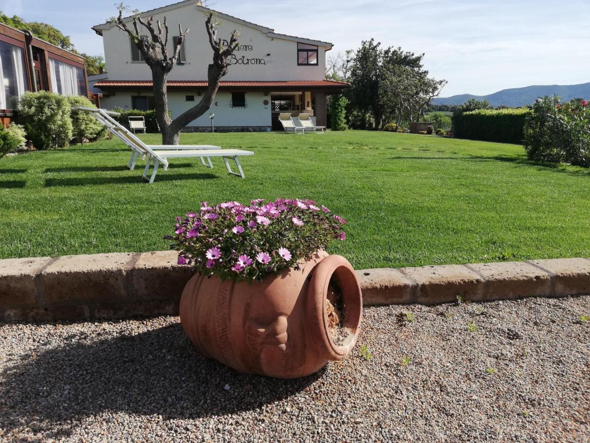 Agriturismo Diaccia Botrona Castiglione della Pescaia Εξωτερικό φωτογραφία